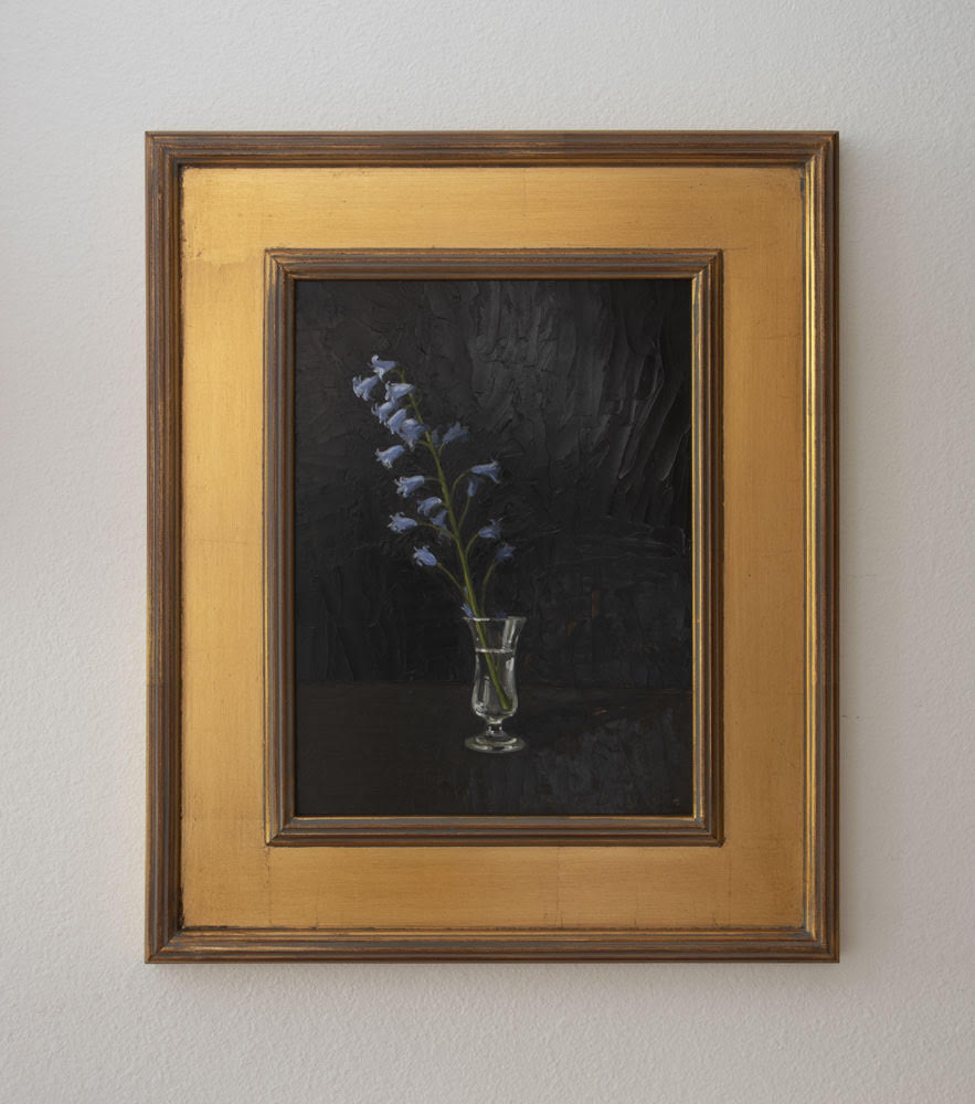 Dutch Bluebells - Caitlin Wilson Design