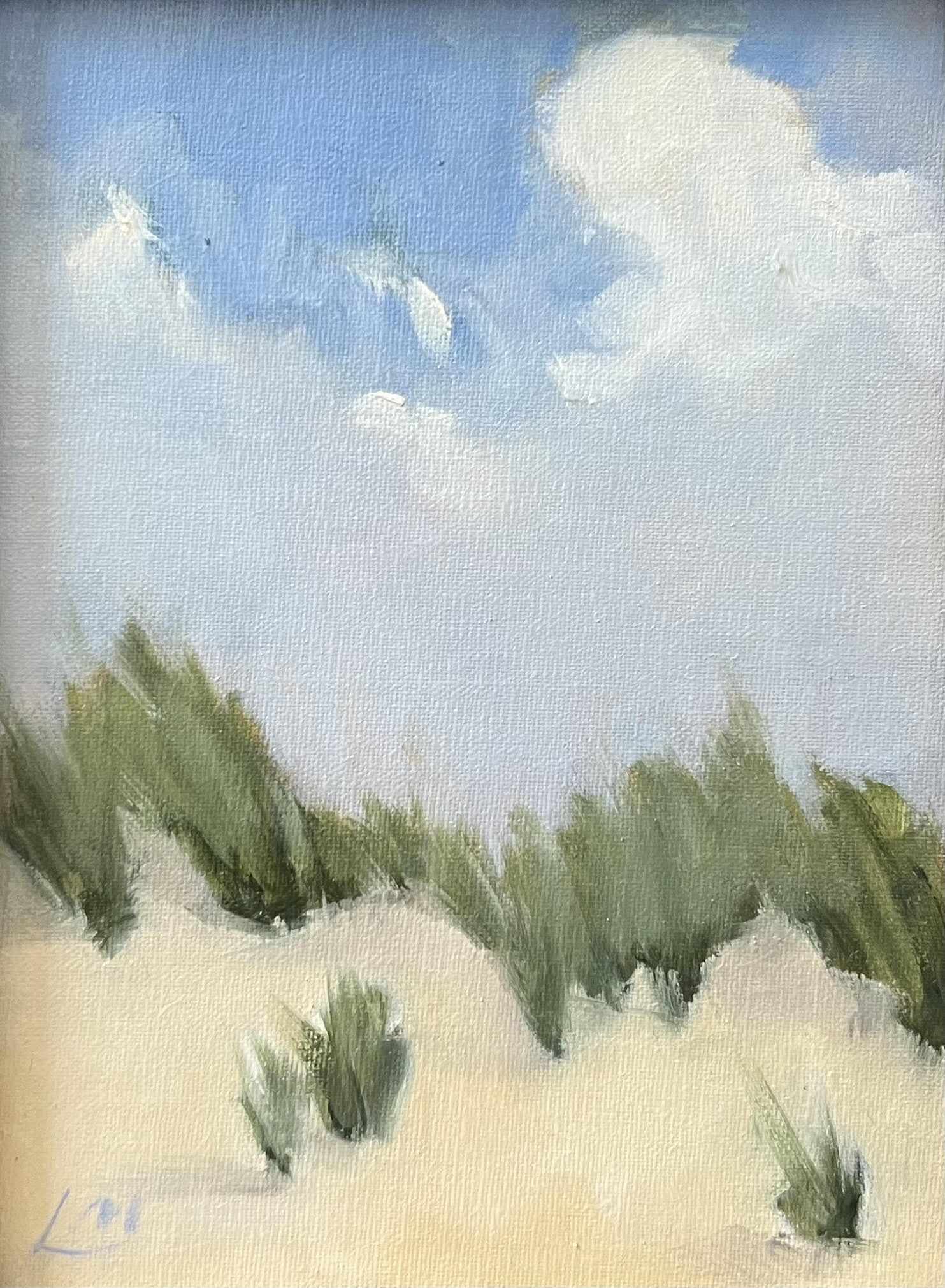 Dutch Beach - Caitlin Wilson Design