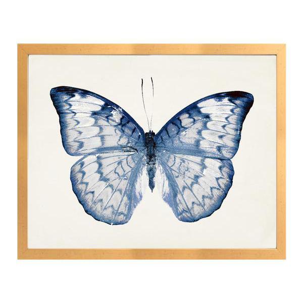 Blue Butterfly Framed Art Print Nursery Decor