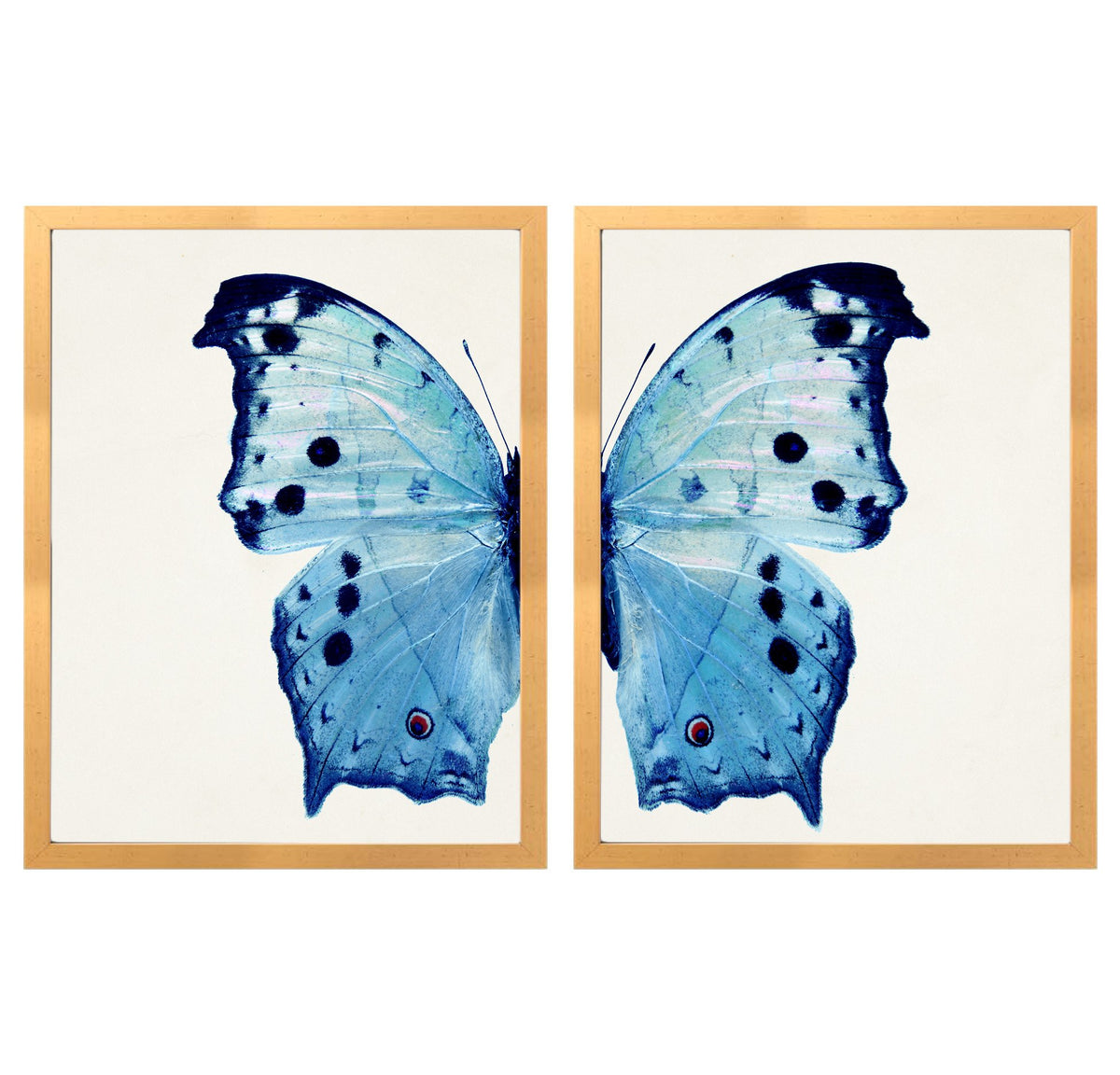 D Blue Butterfly Dyptych