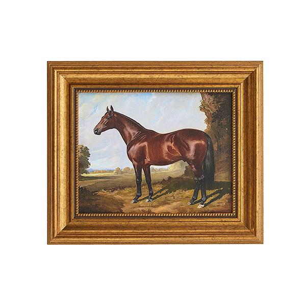 Stallion Landscape