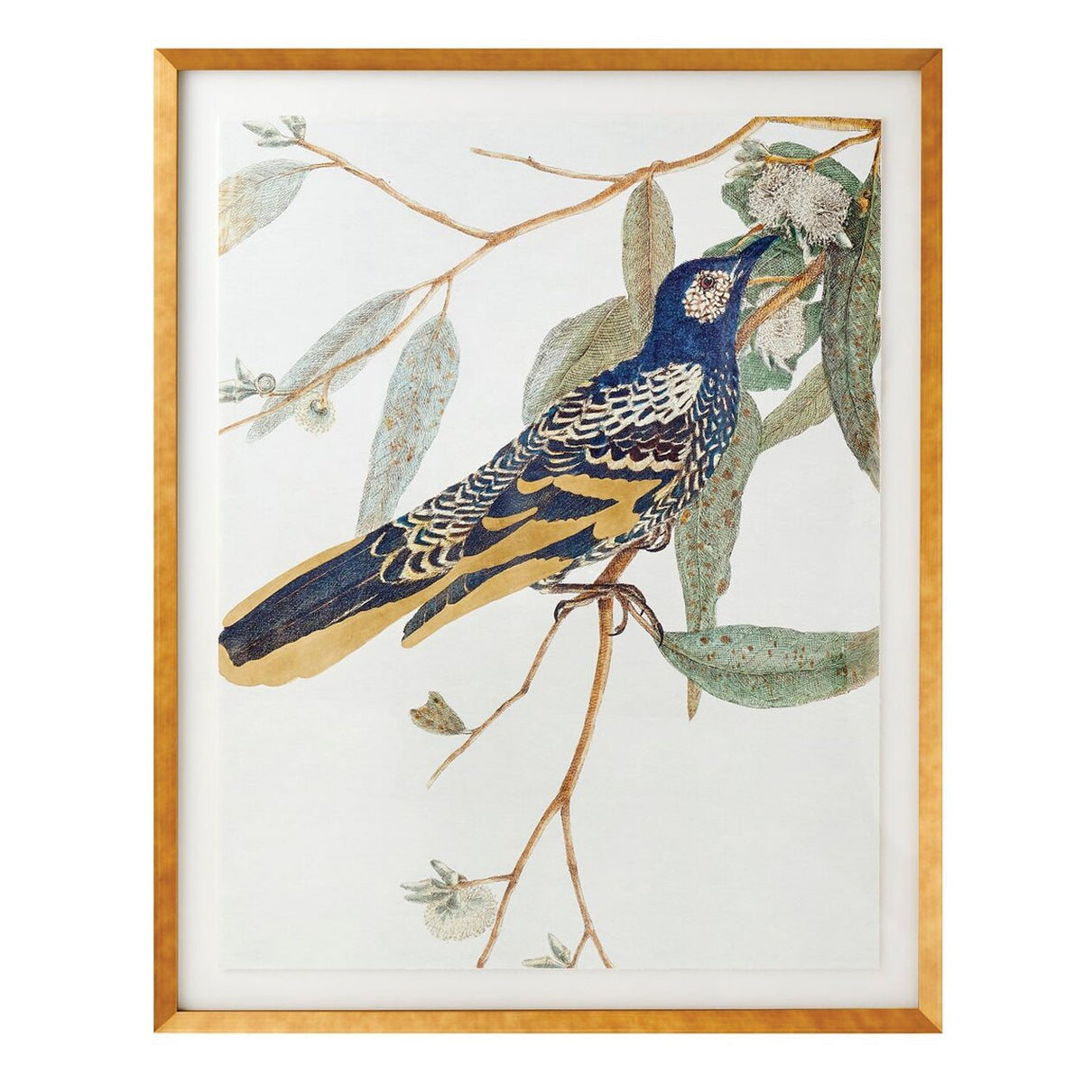 Bluebird 1 Framed Art Print