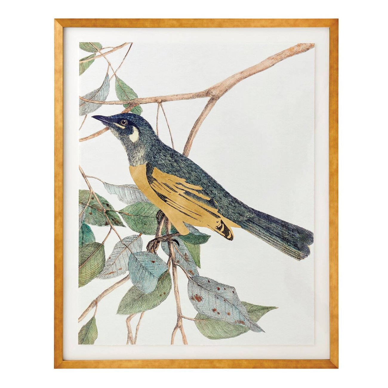 Bluebird II Framed Art Print