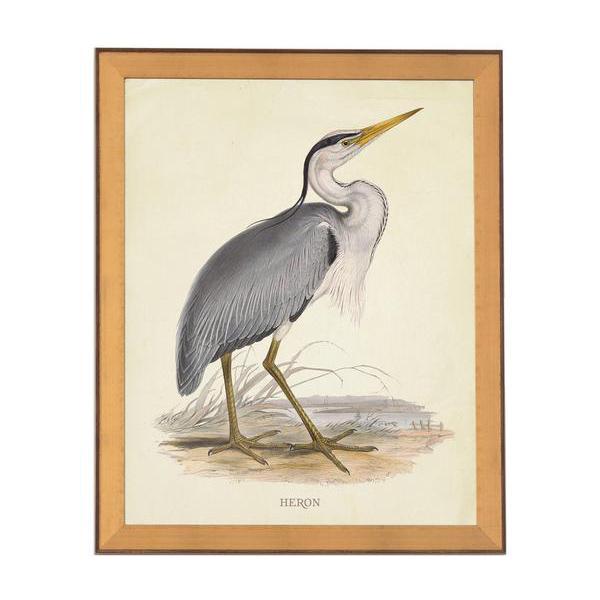 Heron Print