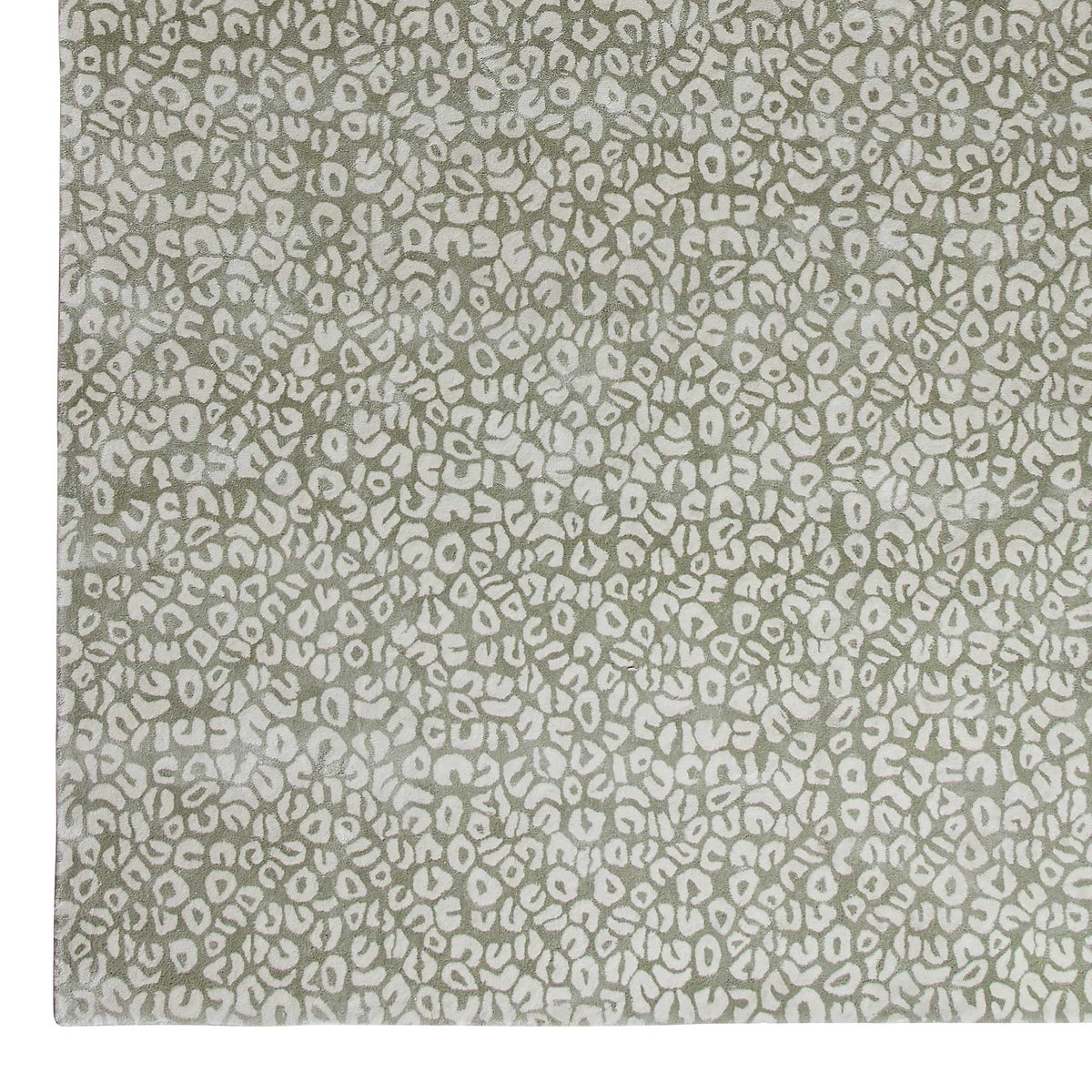 New Leo in Sage Rug Sample