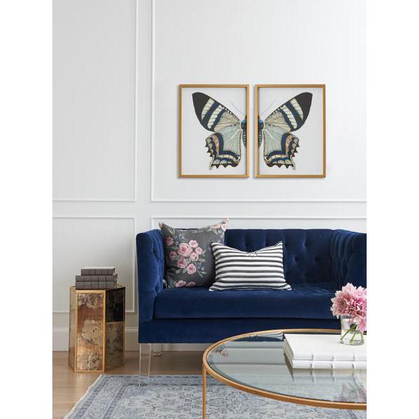 Vintage Split Butterfly Diptych Nature Art in Living Room