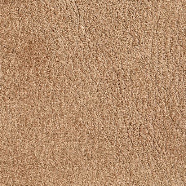 Horseshoe Fabric Swatch