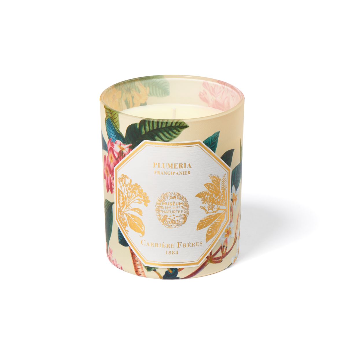 Museo Plumeria Candle