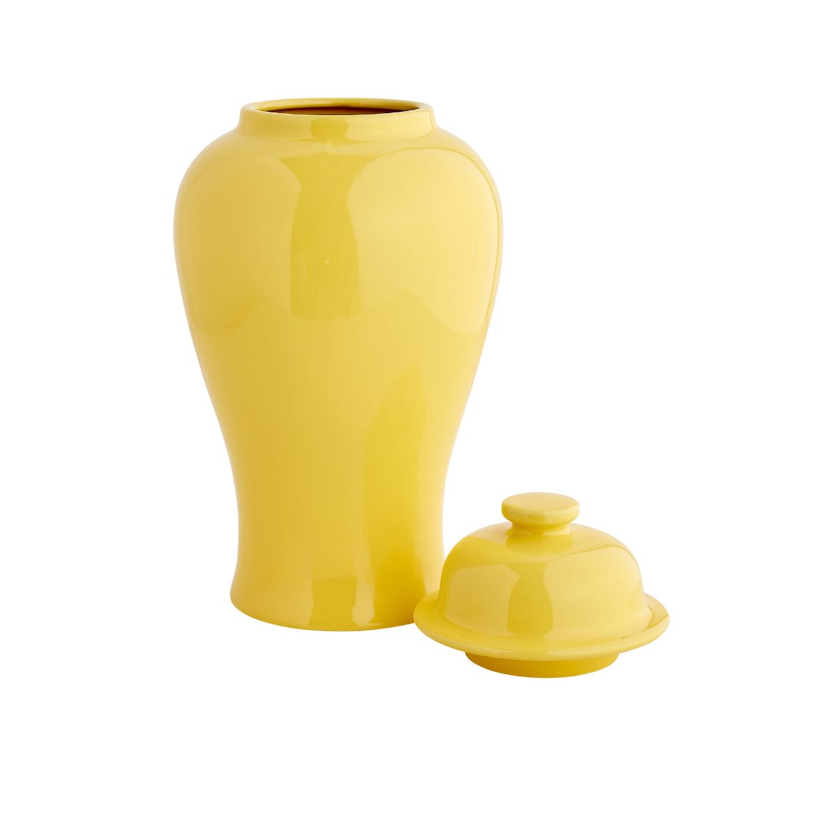 Medium Aviary Jar in Yellow