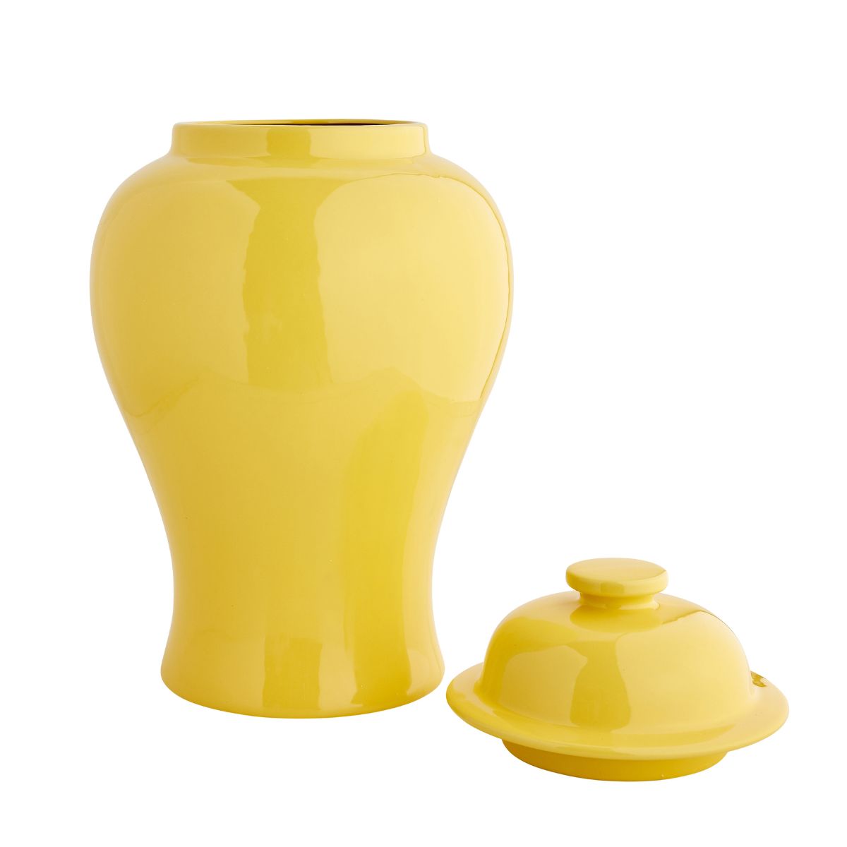 Large Aviary Jar in Yellow