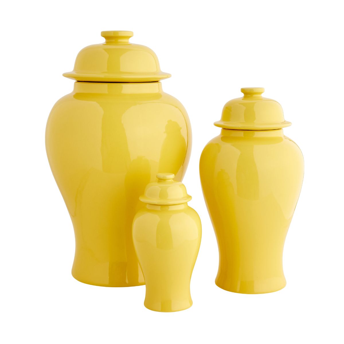 Large Aviary Jar in Yellow