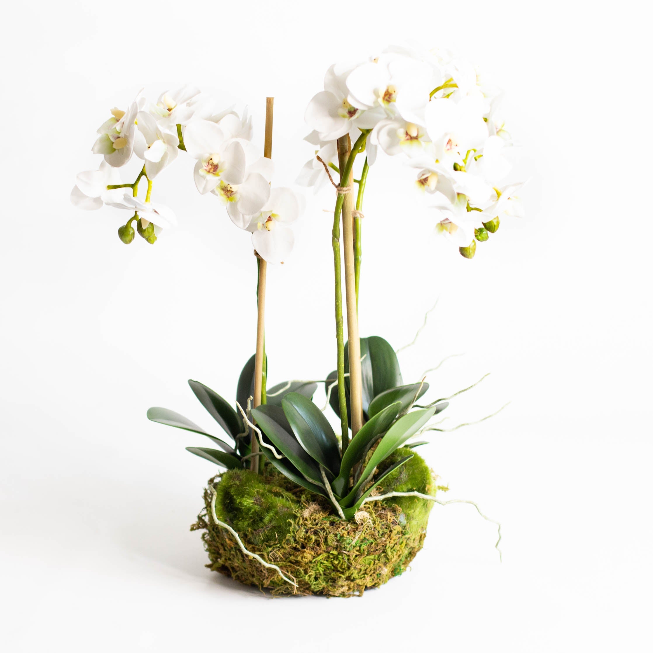 16" Faux Orchid Drop-In