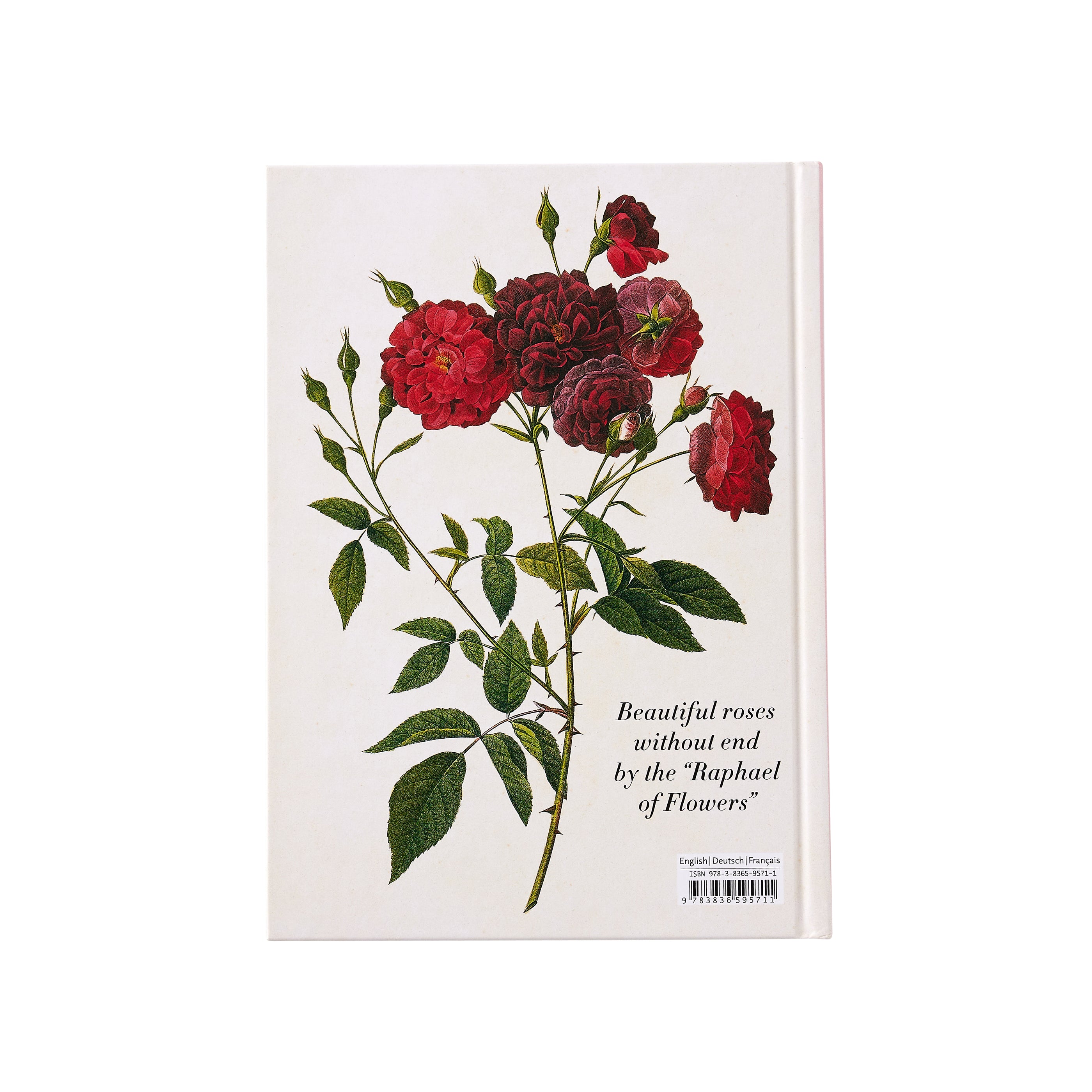 Redoute: Roses