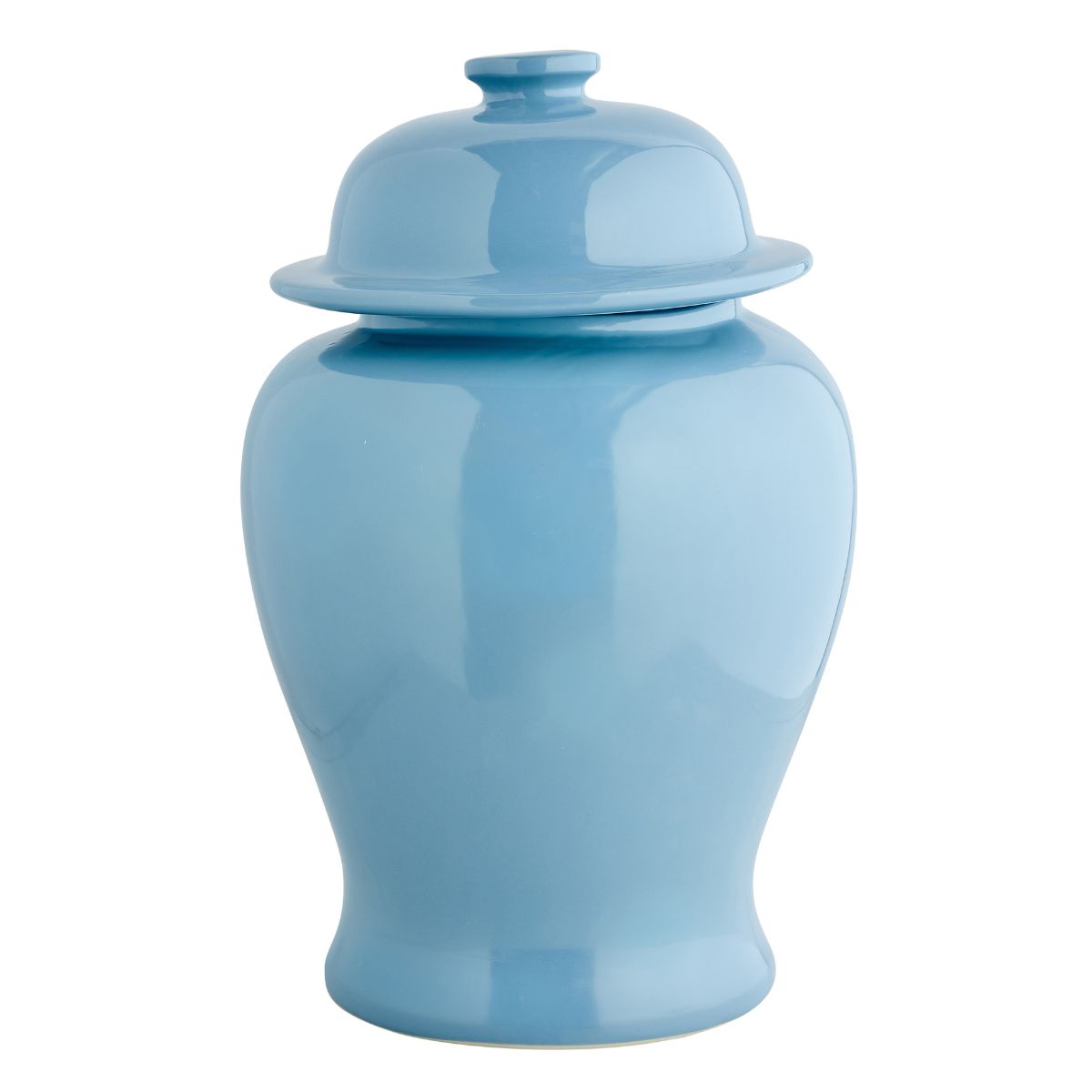 Extra Large Aviary Jar in Blue