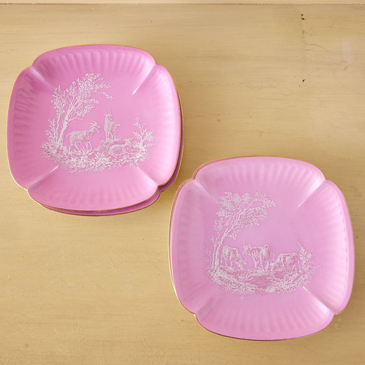 Pretty In Pink Plate Set