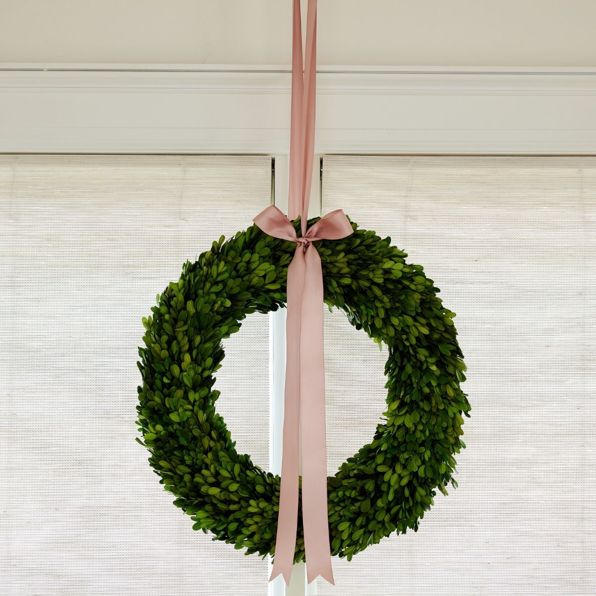 Boxwood Wreath Medium