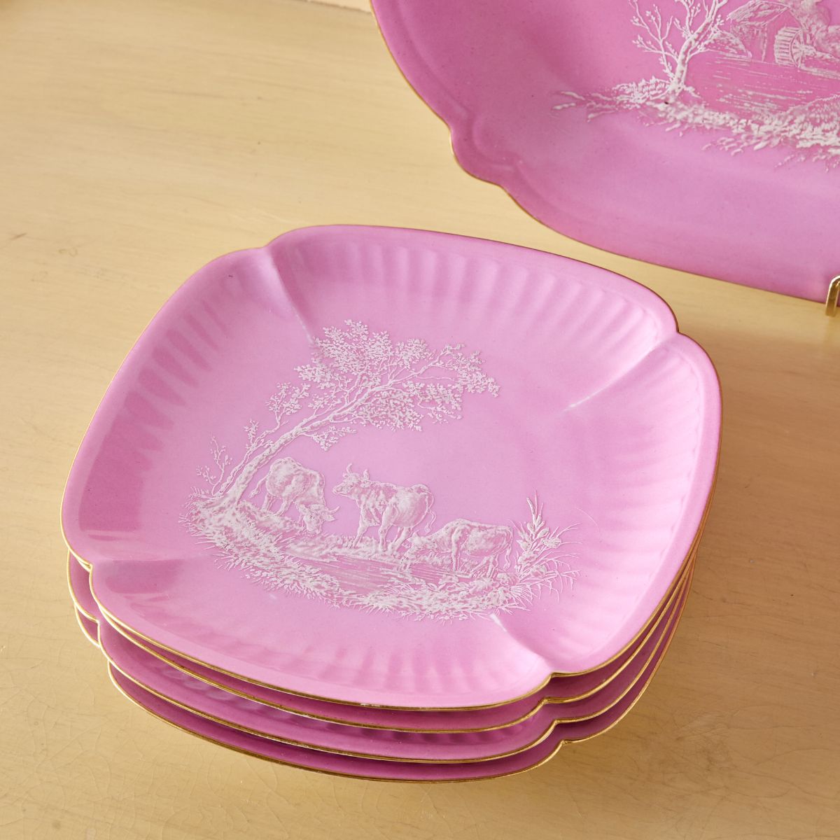 Pretty In Pink Plate Set | Caitlin Wilson