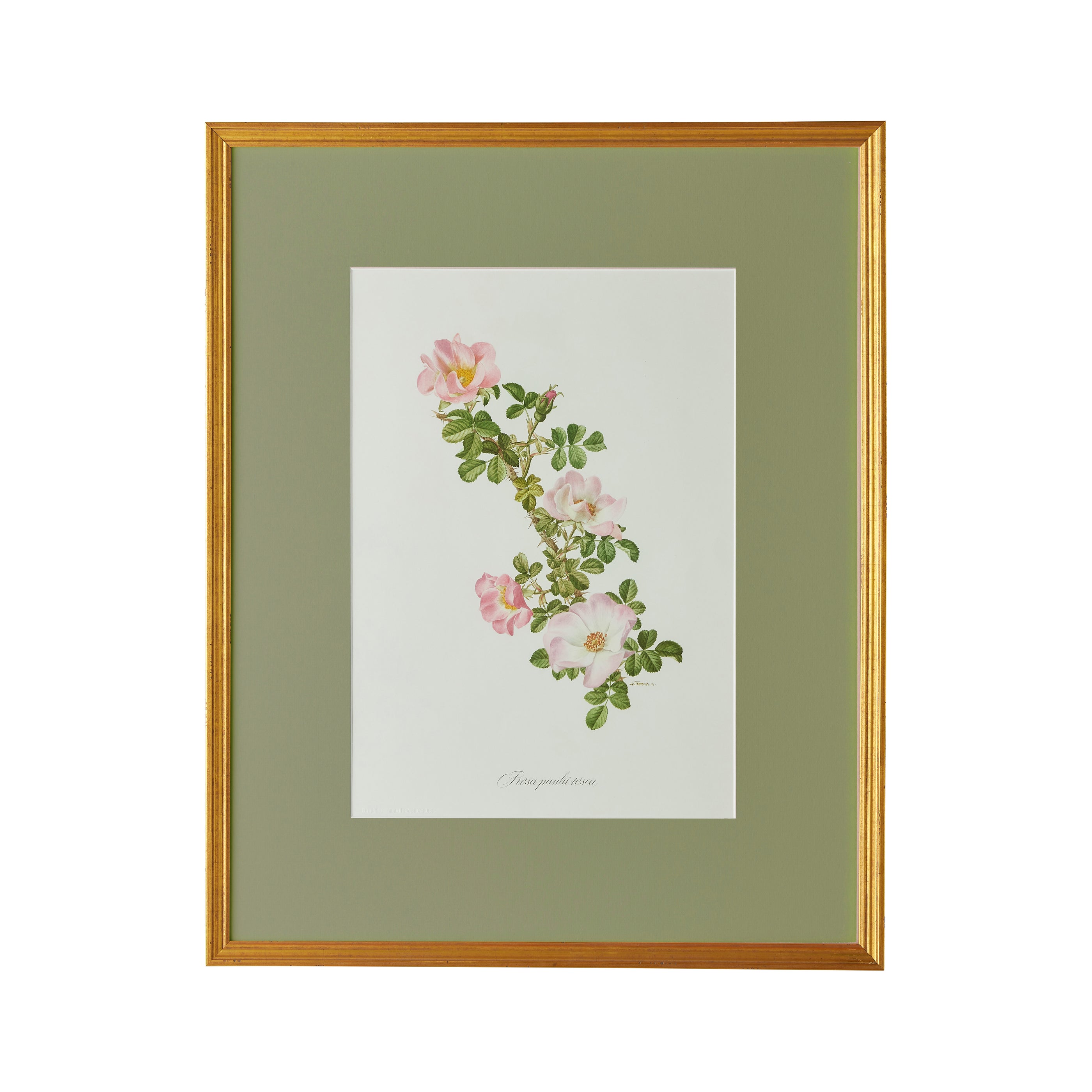 Spring Revival Print IX - Caitlin Wilson Design