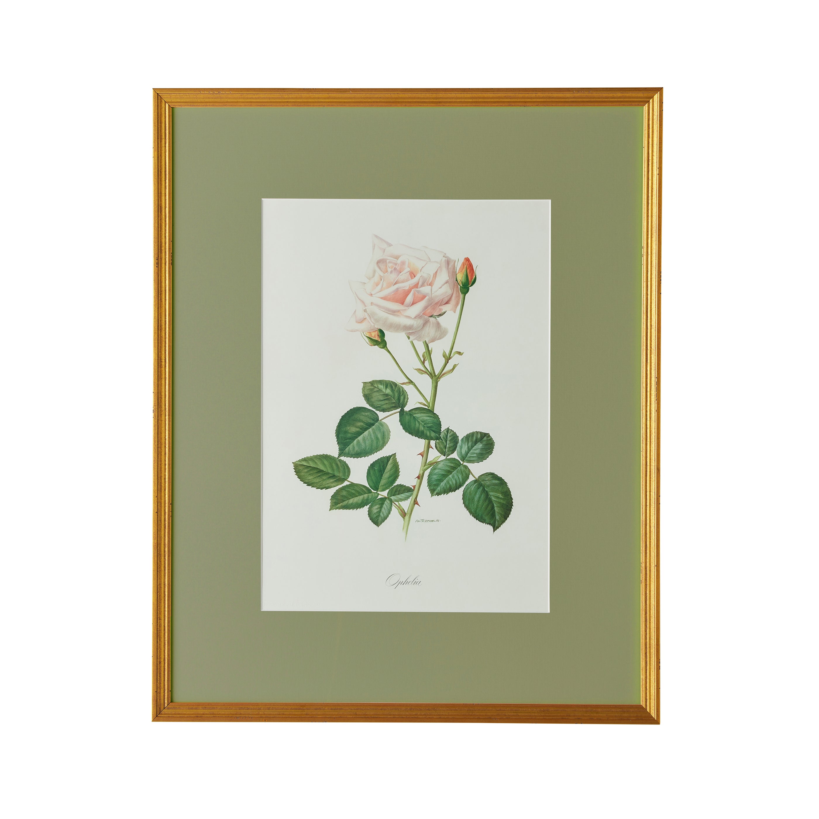 Spring Revival Print V - Caitlin Wilson Design