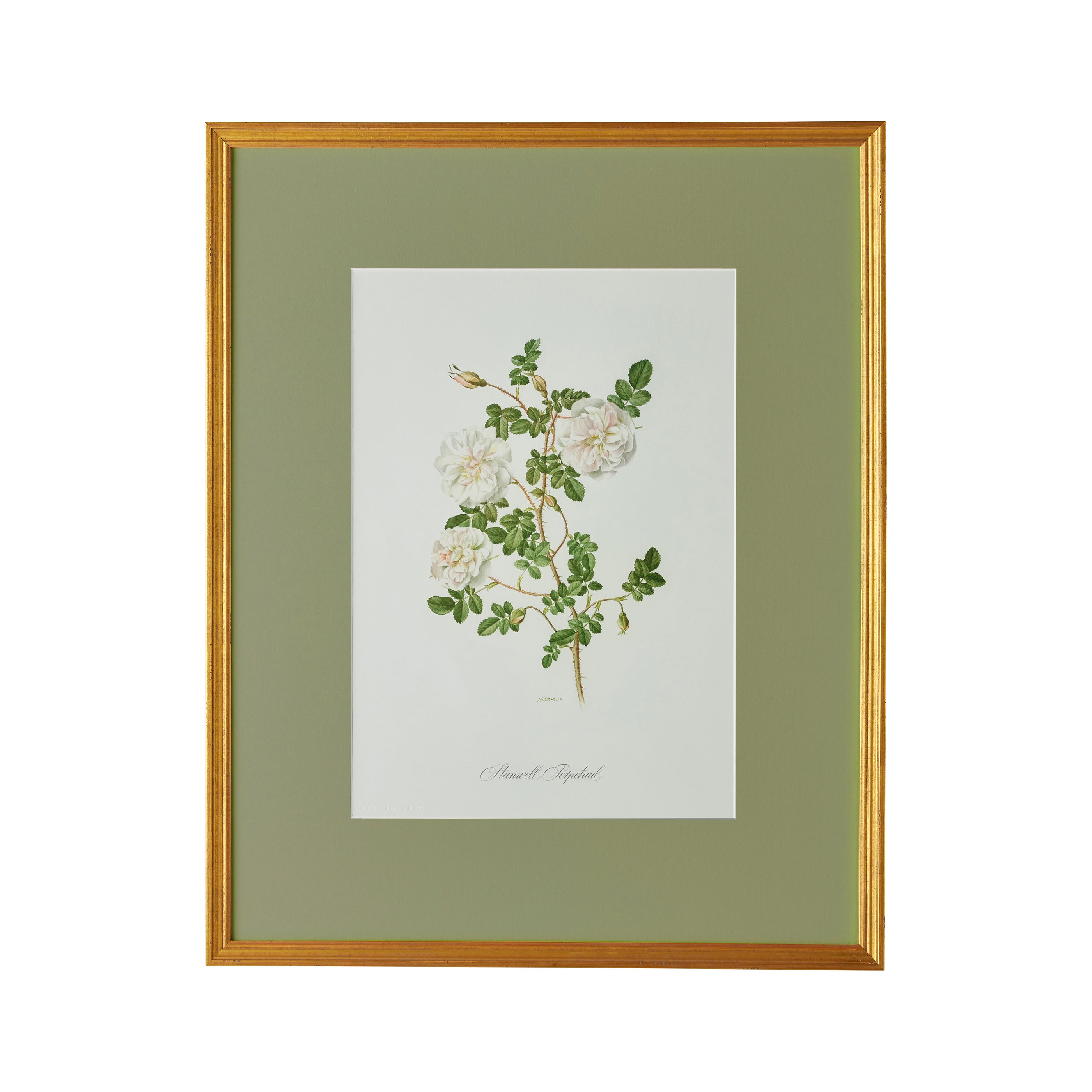 Spring Revival Print IV - Caitlin Wilson Design 