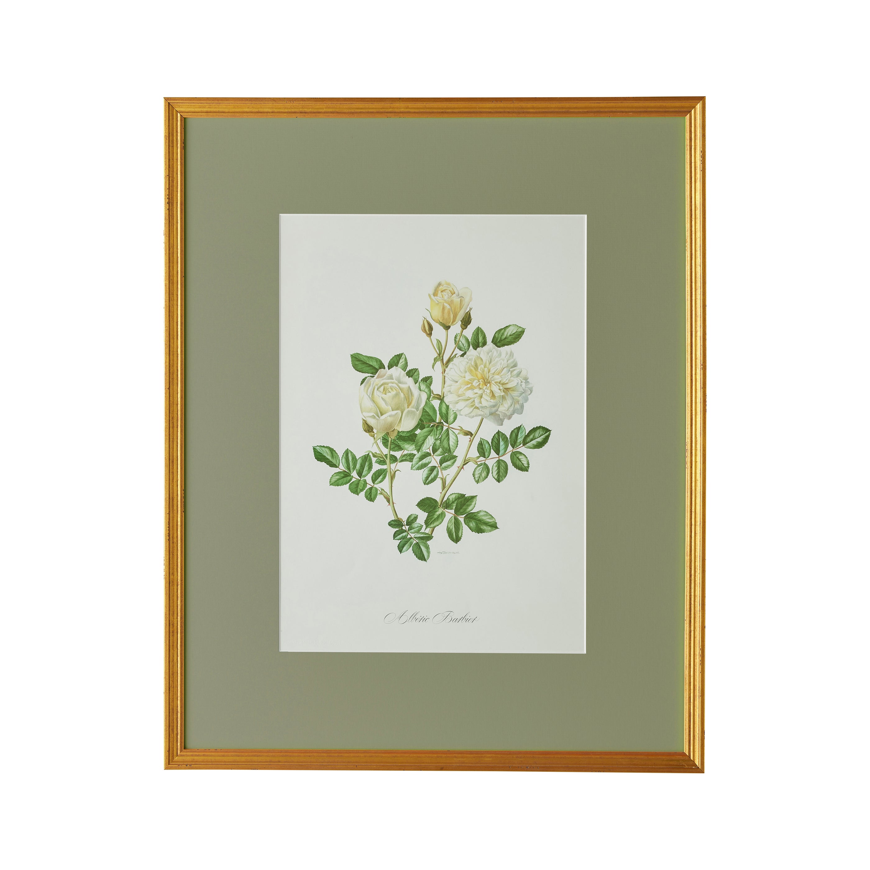 Spring Revival Print III - Caitlin Wilson Design