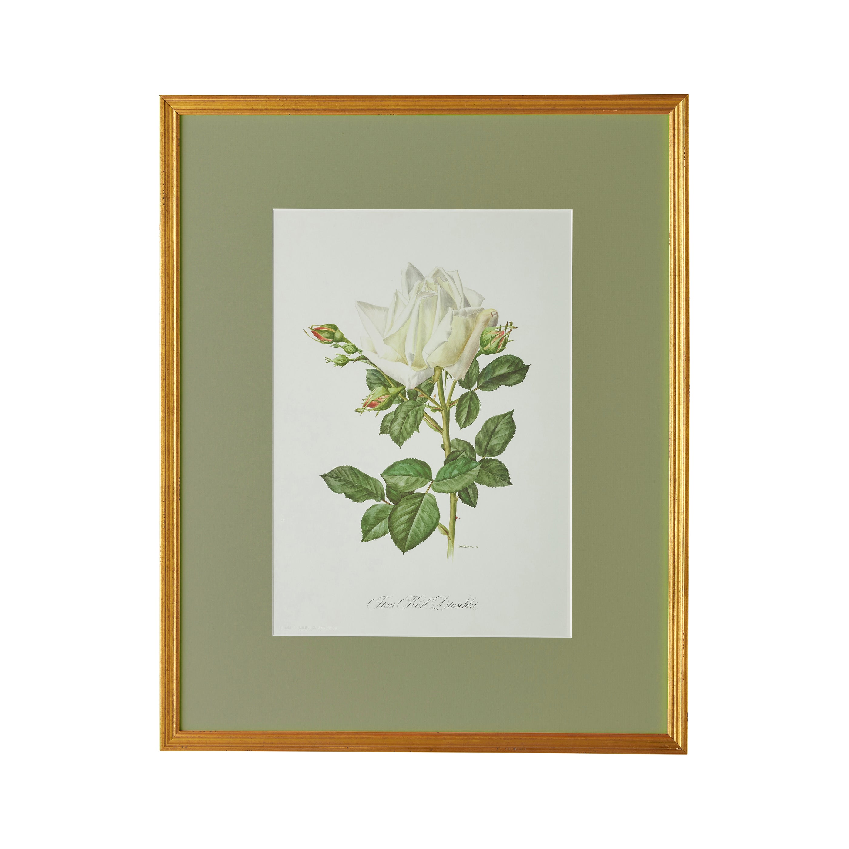 Spring Revival Print I - Caitlin Wilson Design