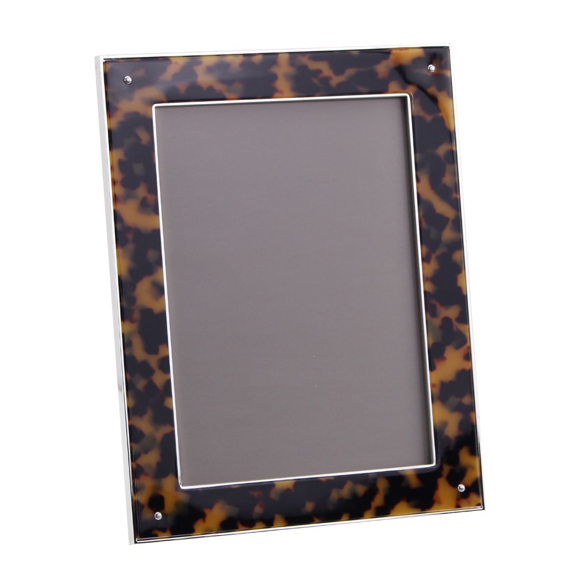 Faux Tortoiseshell & Gold Frame