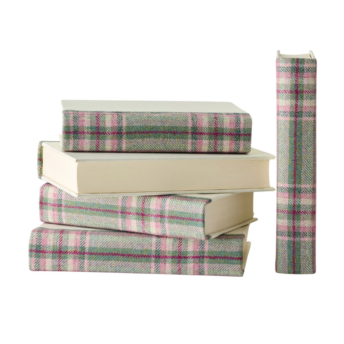 Ivy Plaid Book Set of 5 - Caitlin Wilson Design