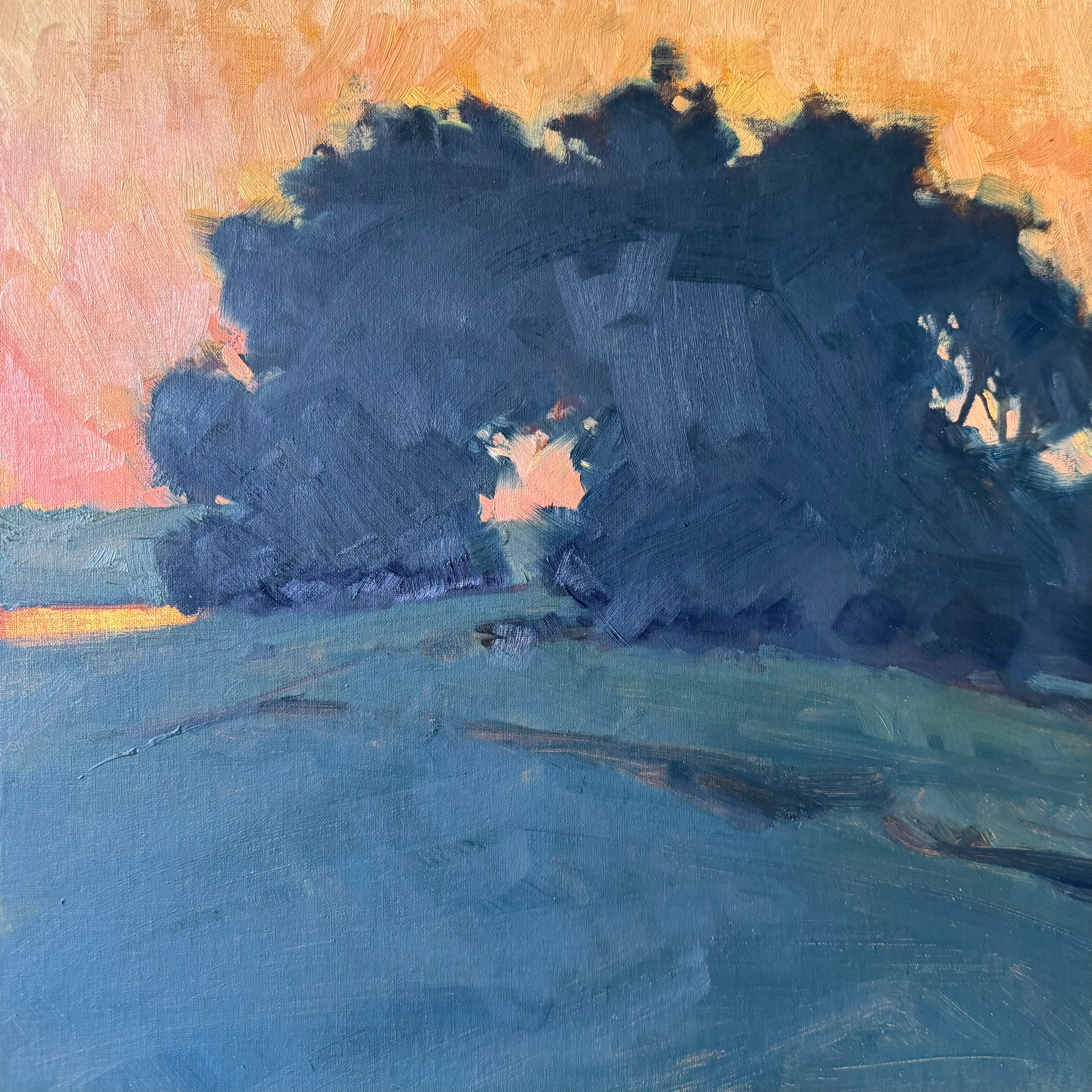 Sunset Through the Trees - Caitlin Wilson Design 