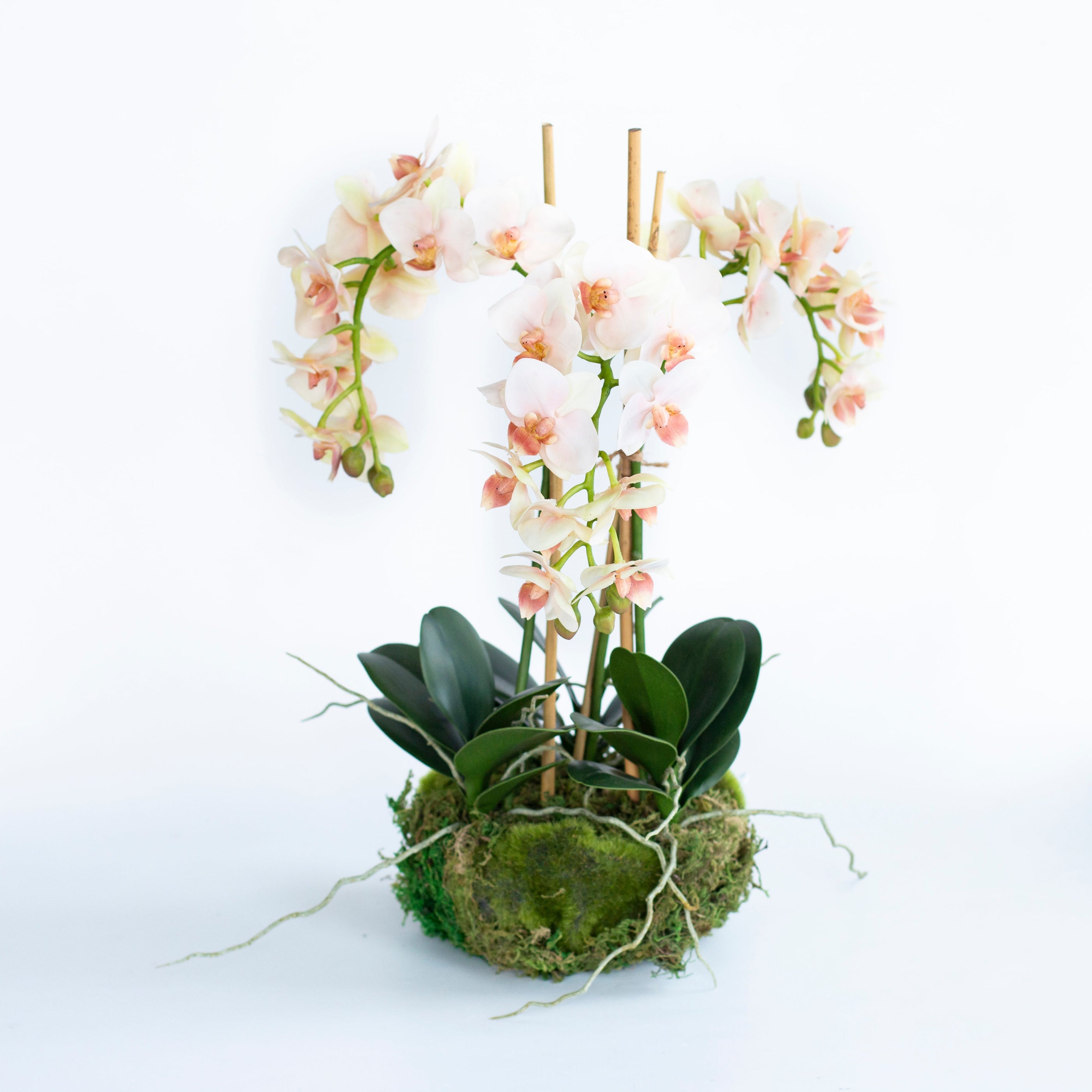 16" Faux Orchid Drop-In - Peach