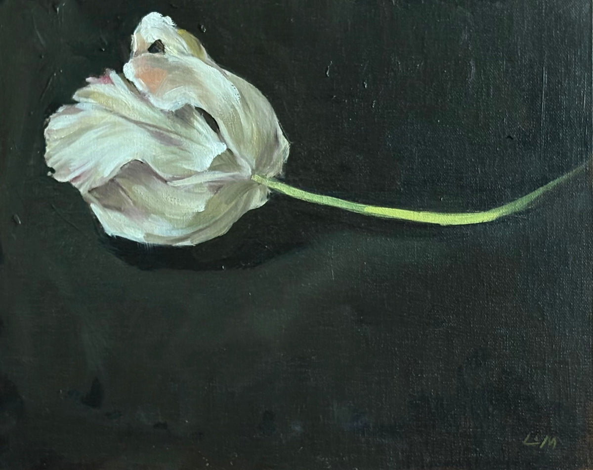 White Tulip by Lynne Millar