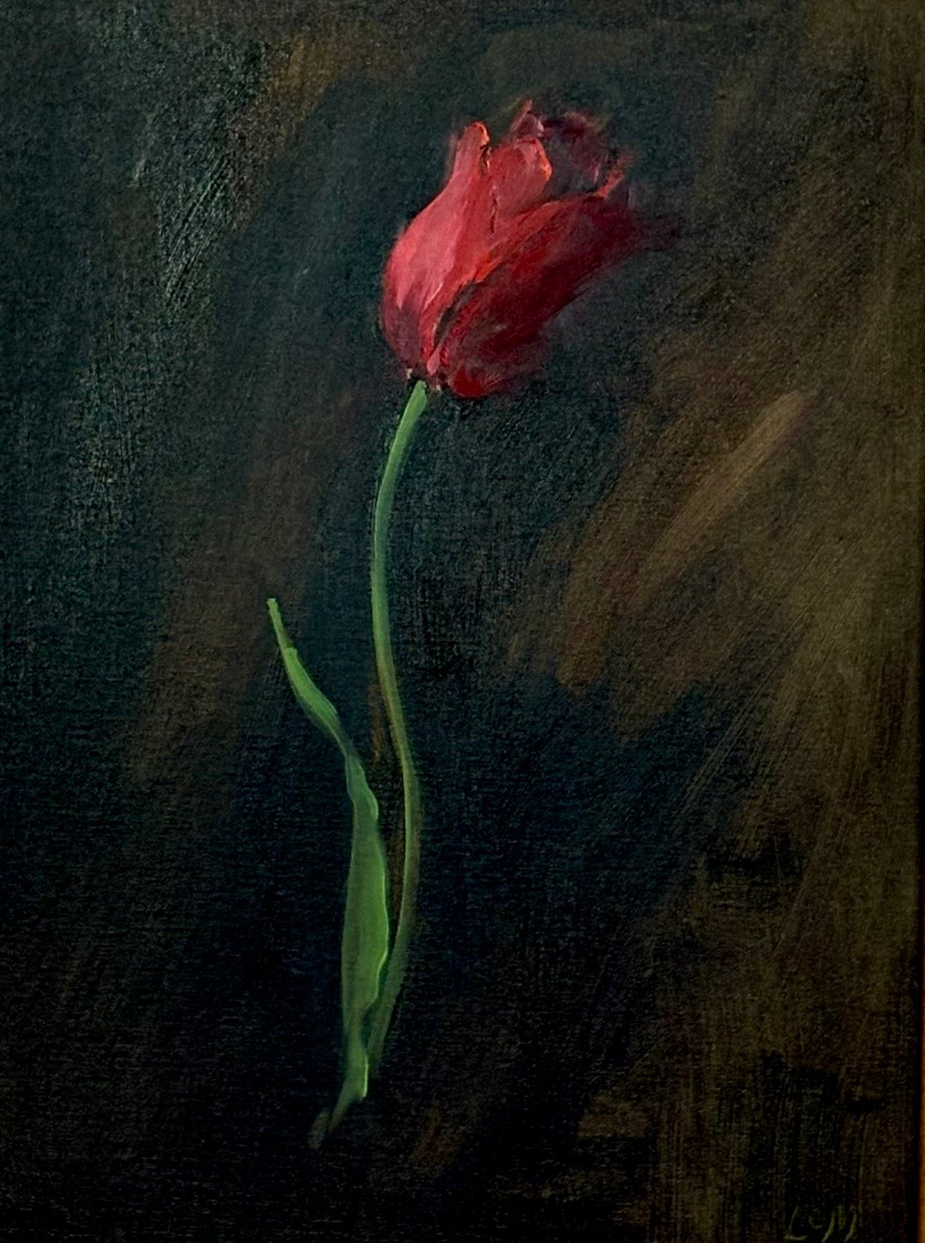 Tulip, Apeldoorn - Caitlin Wilson Design 