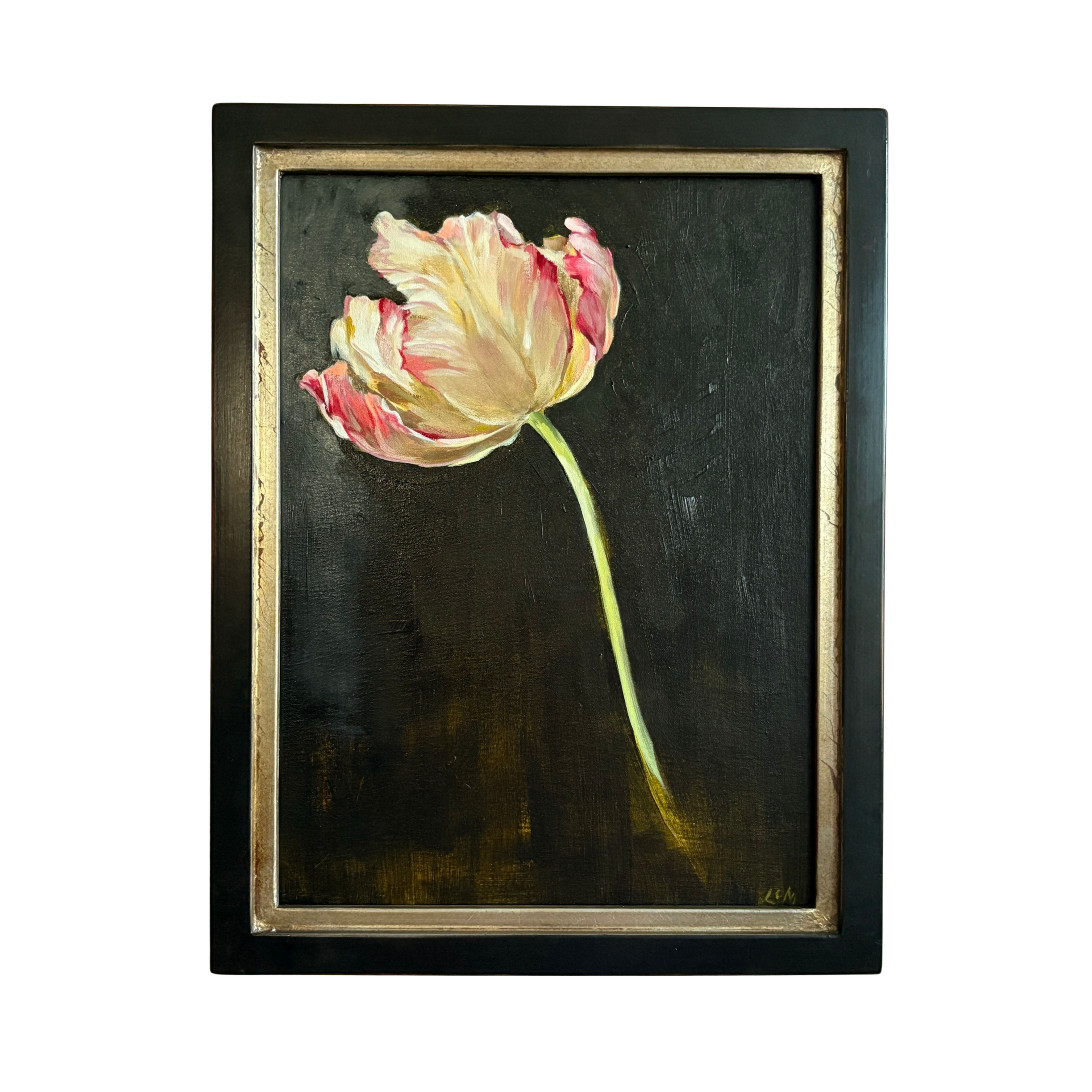 Tulip, Rococo, Opening by Lynne Millar