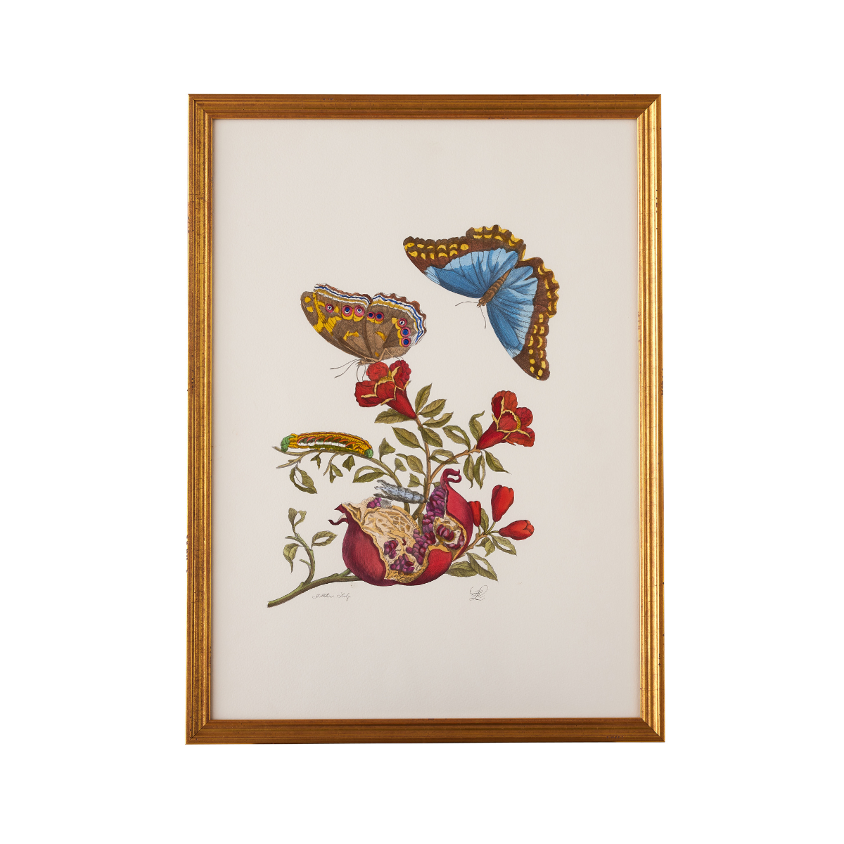Butterfly Serenade Print - III - Caitlin Wilson Design 