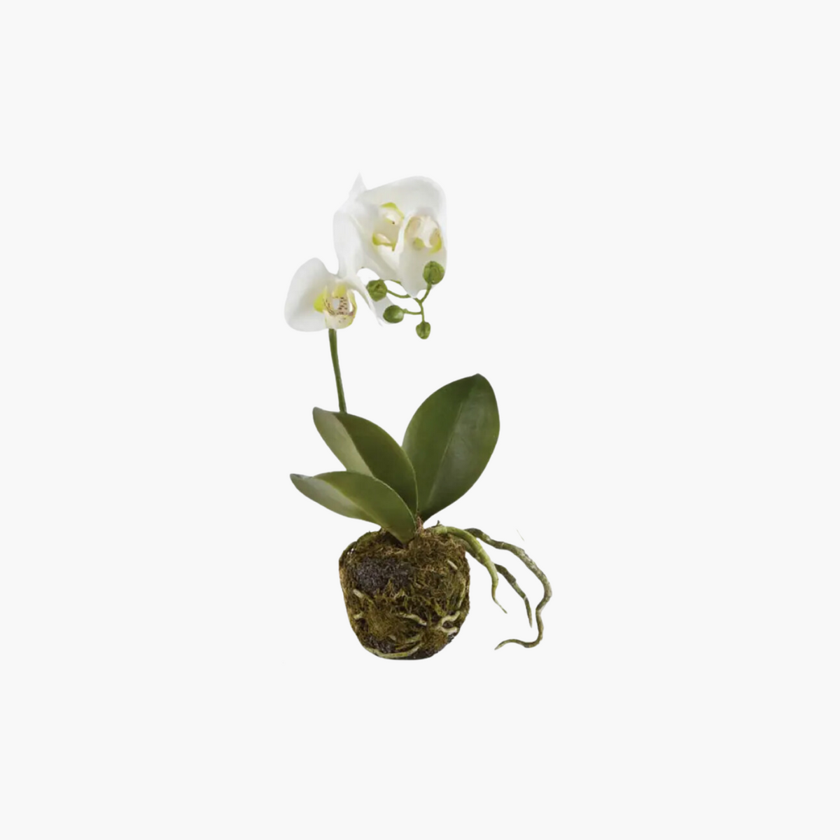 12" Faux Orchid Drop-In