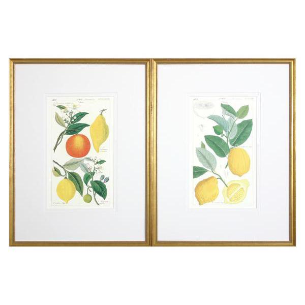 Lemon Dyptych