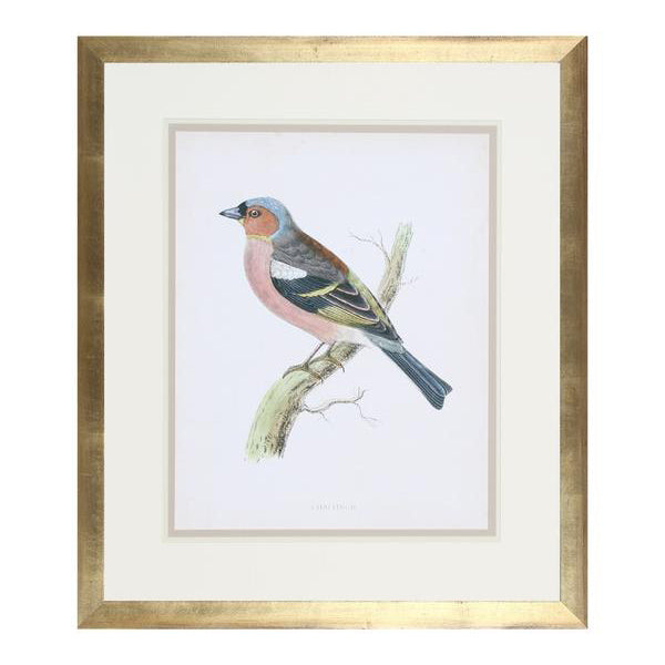 Multicolored Finch Painting