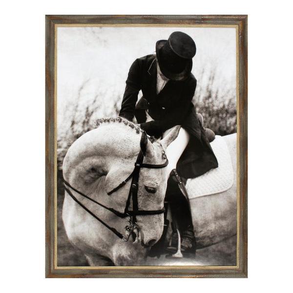 Rider & Horse
