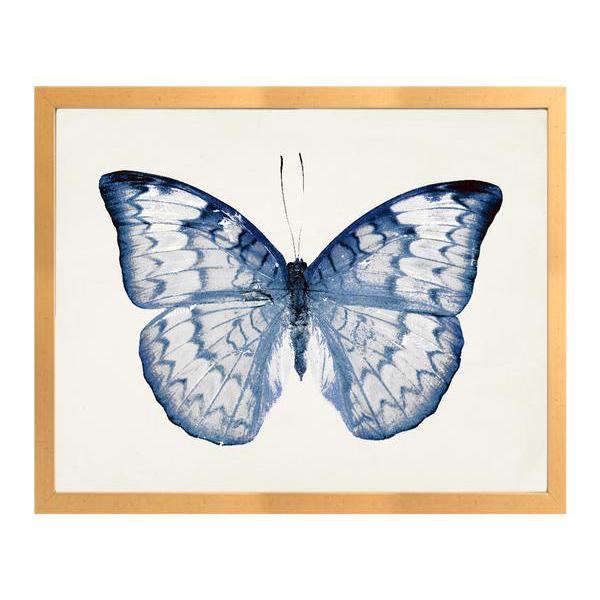 Blue Butterfly Framed Art Print Nursery Decor
