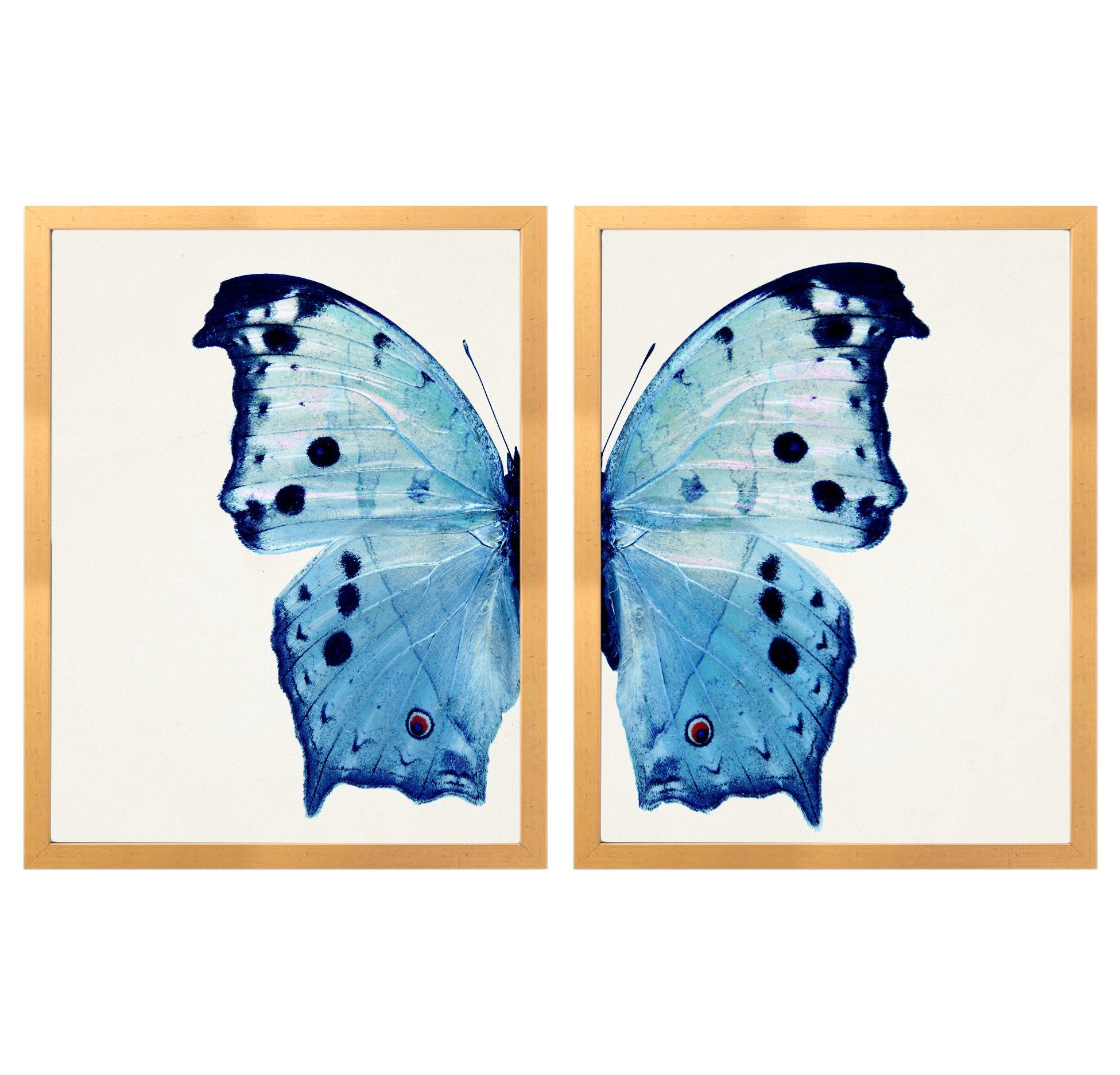 D Blue Butterfly Dyptych