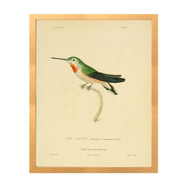 Hummingbird 39