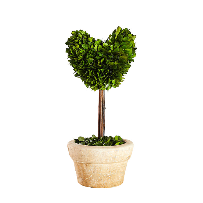 Heart Shaped Boxwood Topiary
