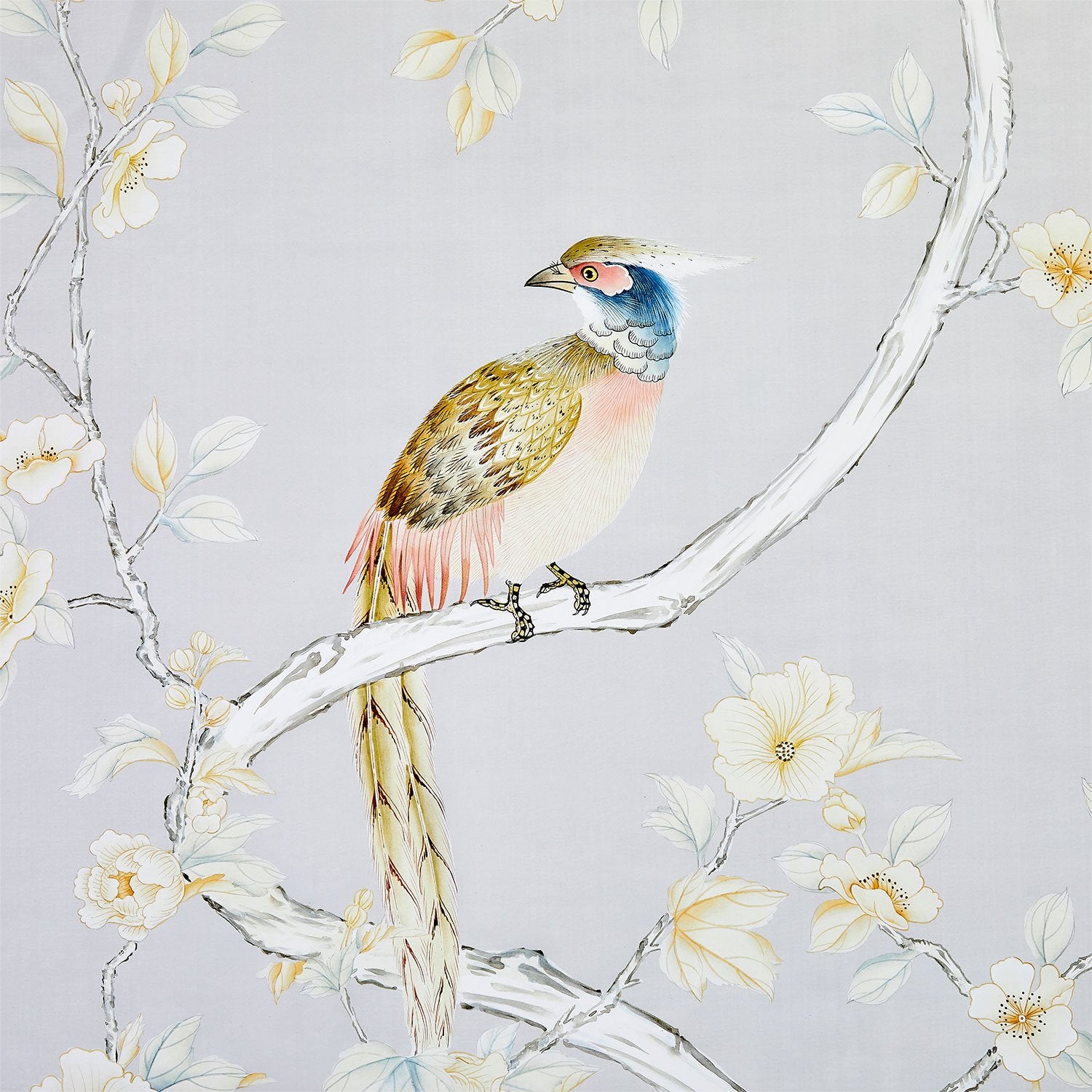 Traditional Chinoiserie Carlisle Mural Wallpaper in Dove Sample Swatch