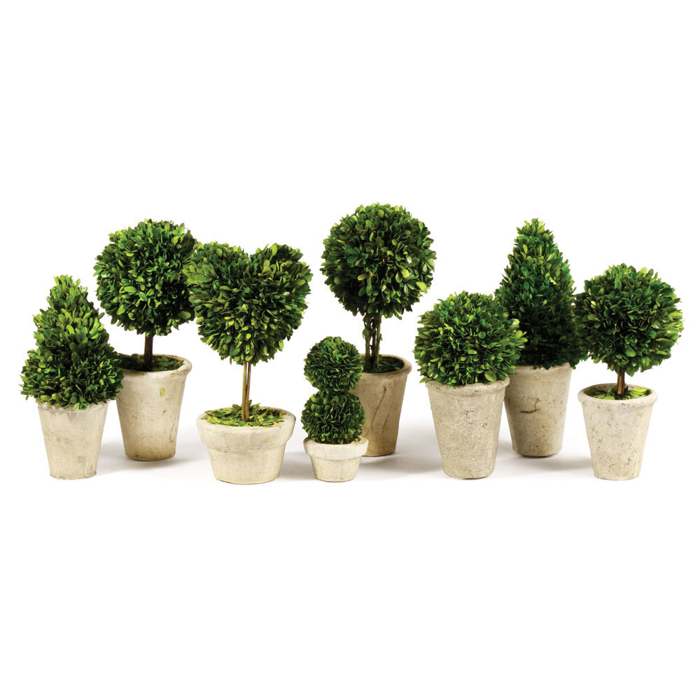 Set of 8 Boxwood Topiaries