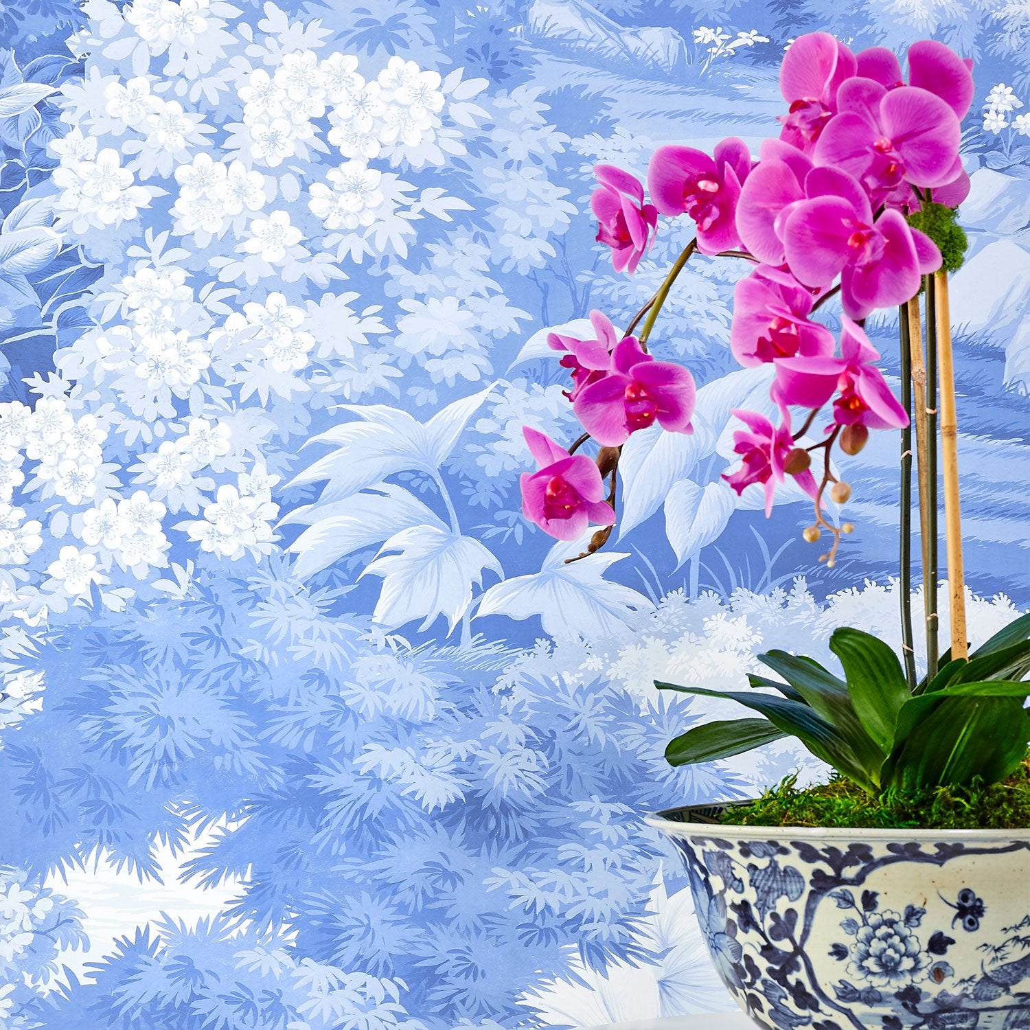 Jardin in Blue Chinoiserie Wallpaper on Wall