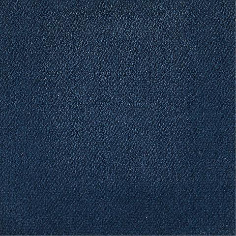 Blueberry Fabric Swatch