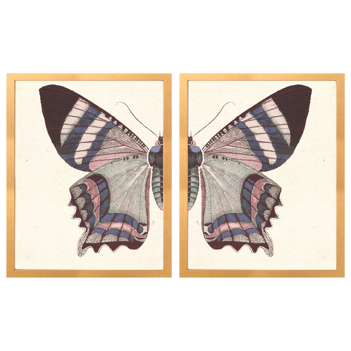Vintage Blush Butterfly Diptych Framed Art Prints