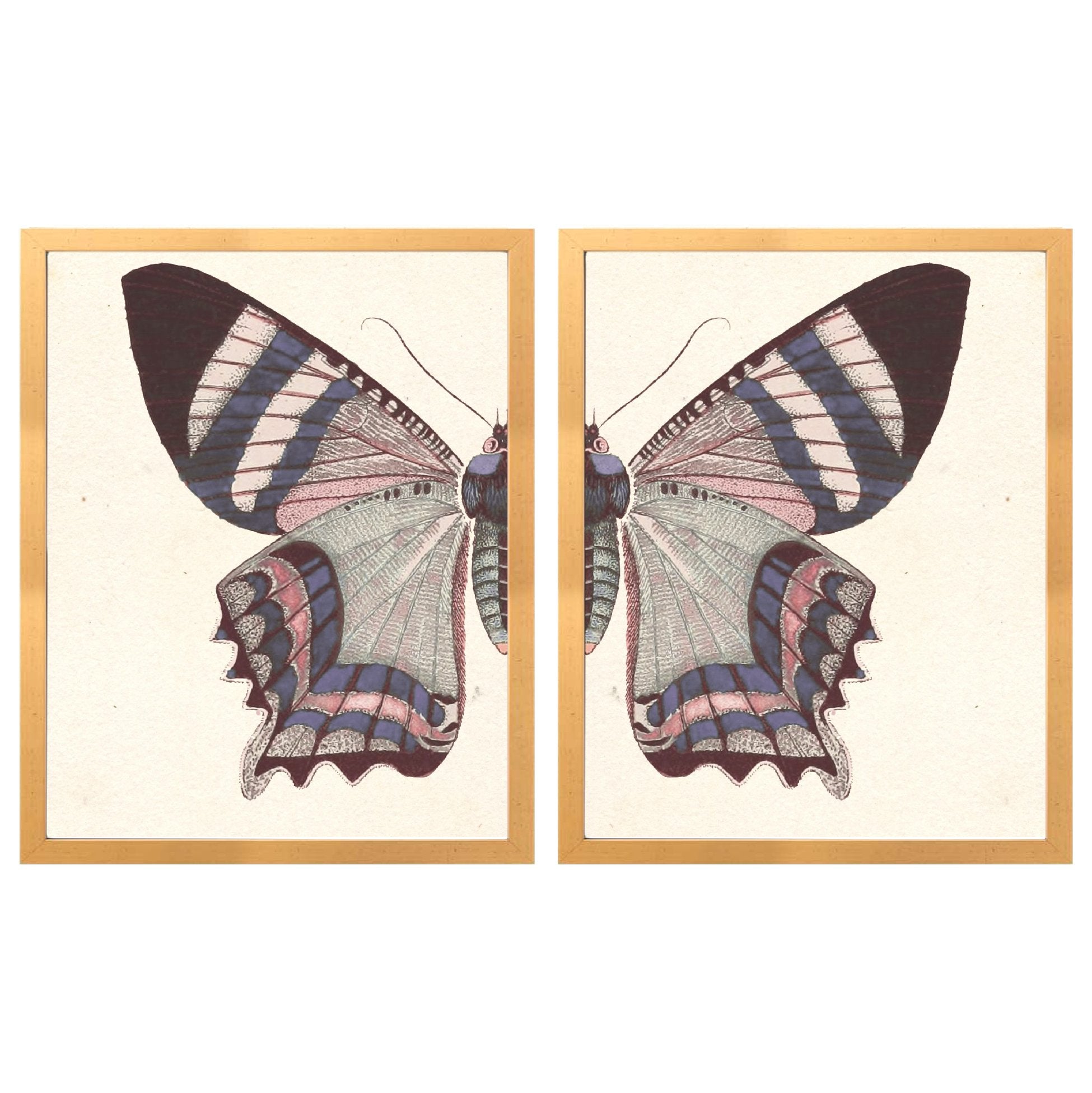 Vintage Blush Butterfly Diptych Framed Art Prints