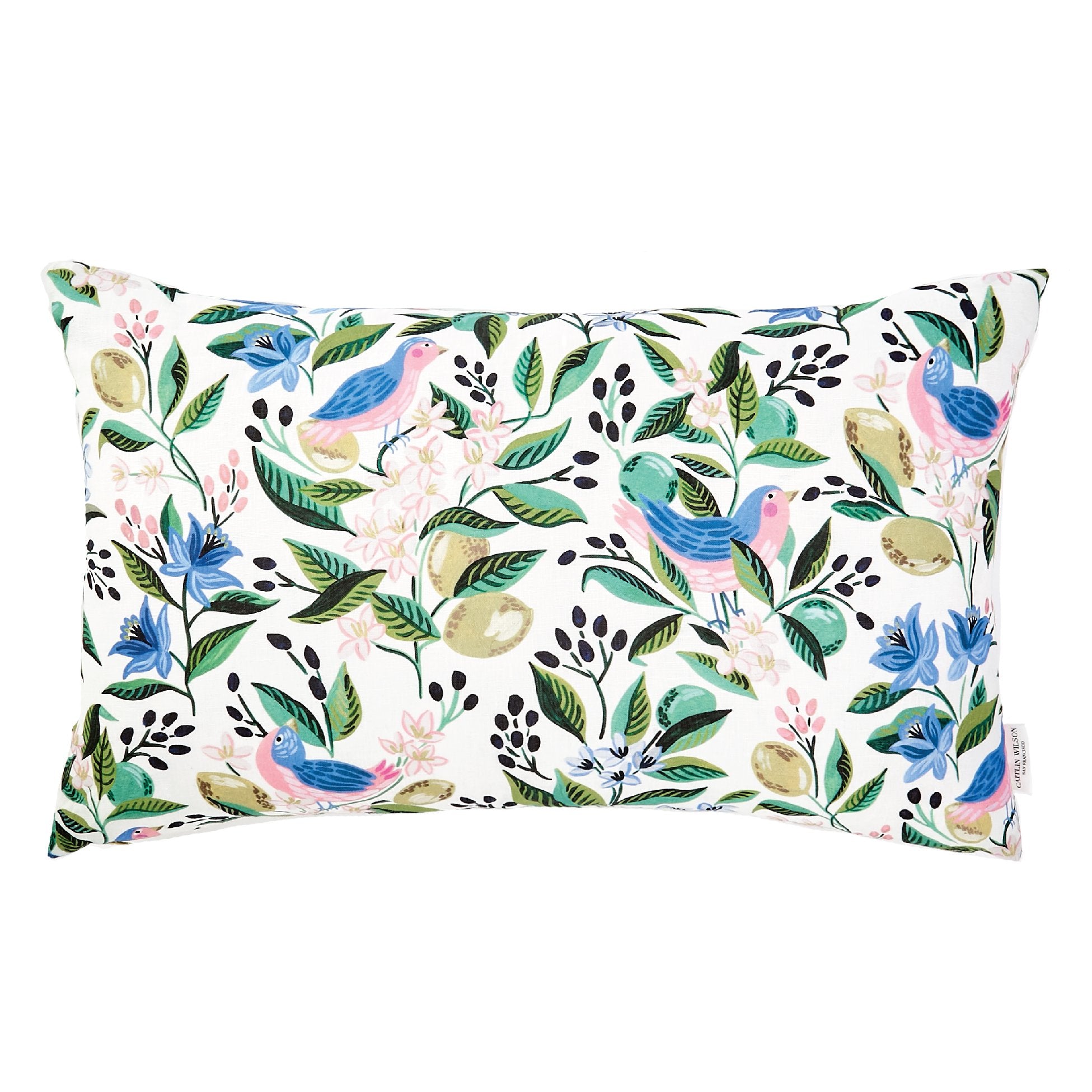 Citron Vert Pillow Cover | Caitlin Wilson