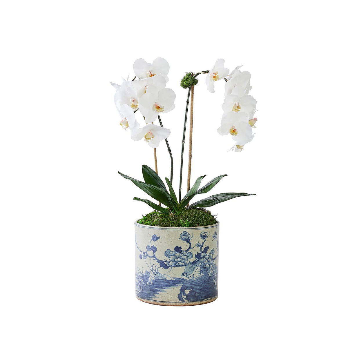 Double White Orchid in Oiseau Vase